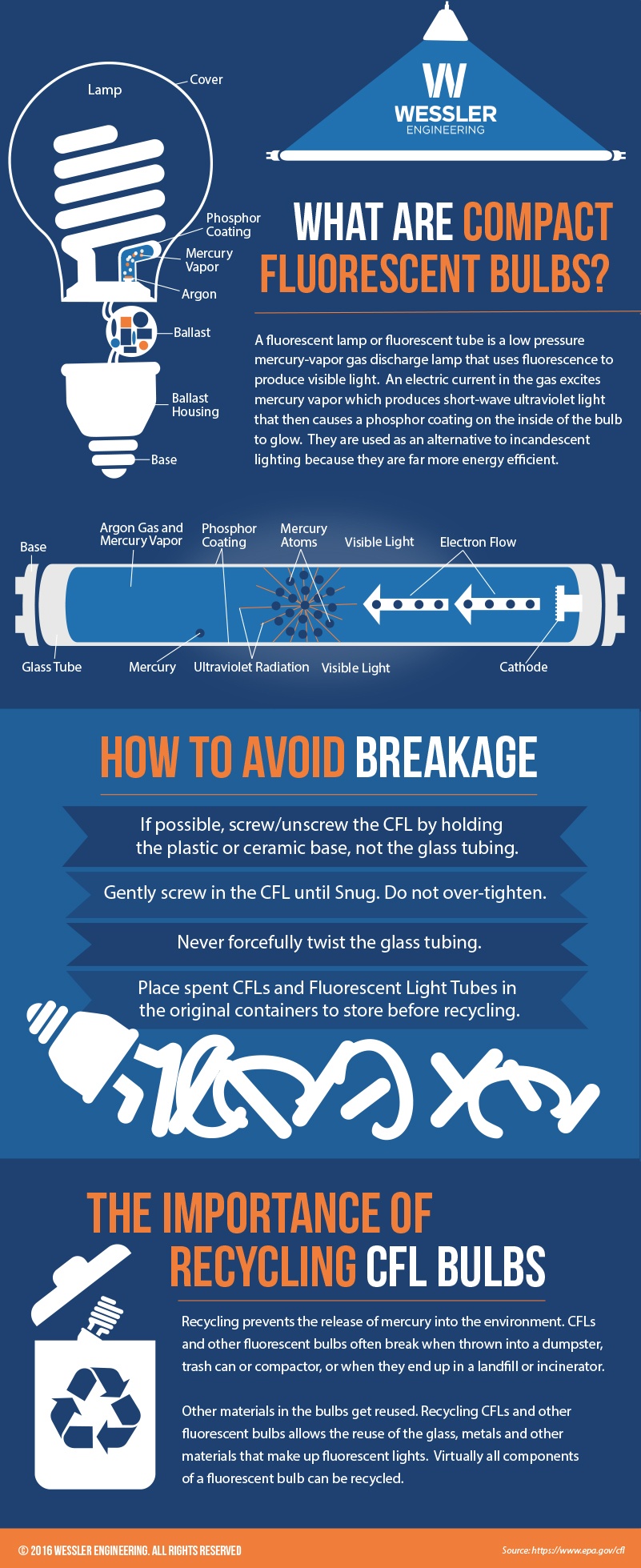 Compact Fluorescent Bulbs Infographic